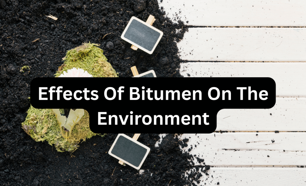 Effects Of Bitumen On The Environment.png